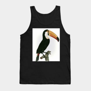 Toco toucan from Histoire Naturelle des Oiseaux de Paradis et Des Rolliers Tank Top